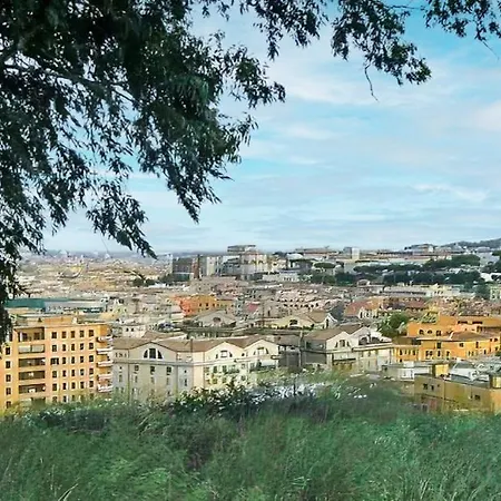 New Vatican Family Nest Rome